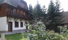 Гостиница Apartments Vila Zubović  Копаоник